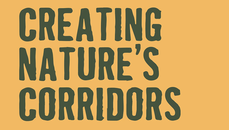 Huntingdon Racecourse's Charity of the Year