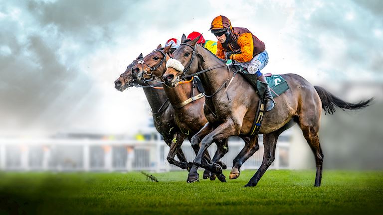 Grand Sefton Day