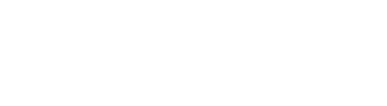 P NETWORK WHITE.png