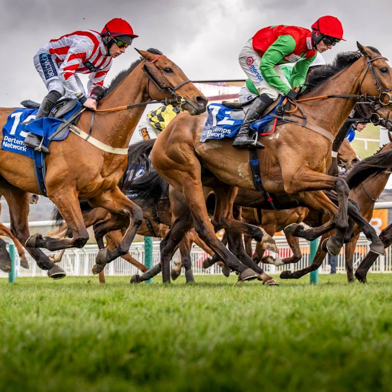 Pertemps_Dual_1 (1).jpg