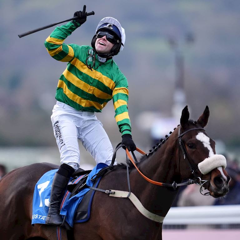 PA-82664446 (1) (1).jpg