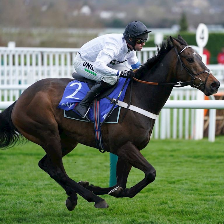 Constitution Hill (1) (1).jpg