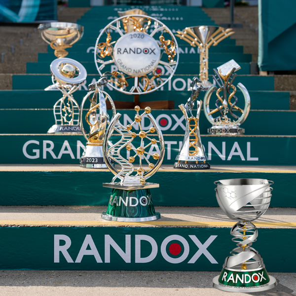 all trophies 26 (600 x600 px).jpg