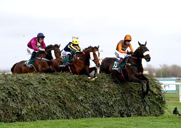 Grand National Fences