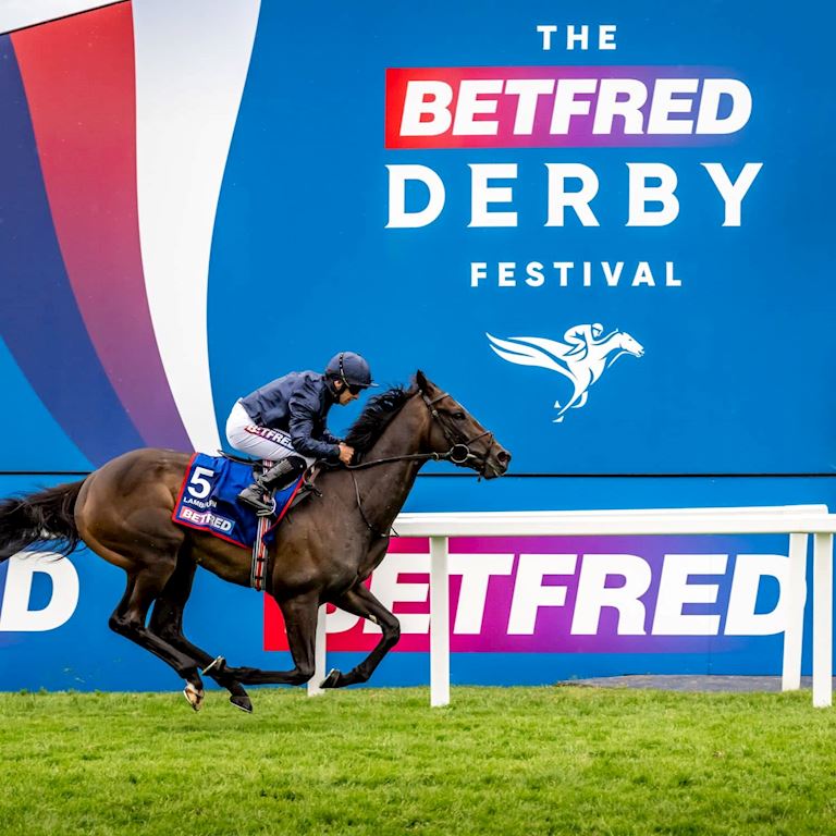 Lambourn_Dual_ (1).jpg