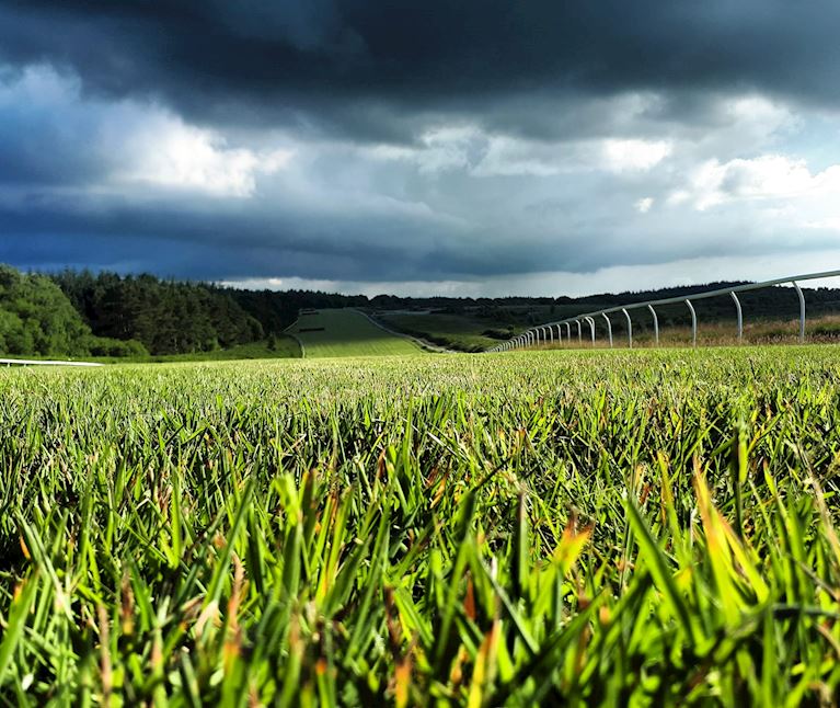 Fresh From The Track: Part Two