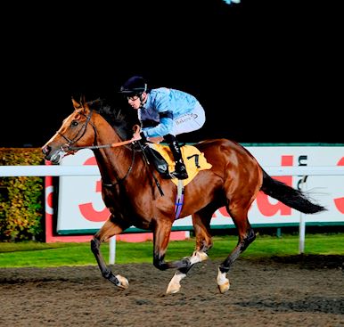 Evening Racing