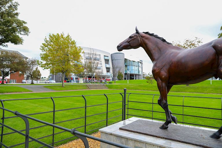 Association of Racecourse Veterinary Surgeons’ Casualty Management Seminar 