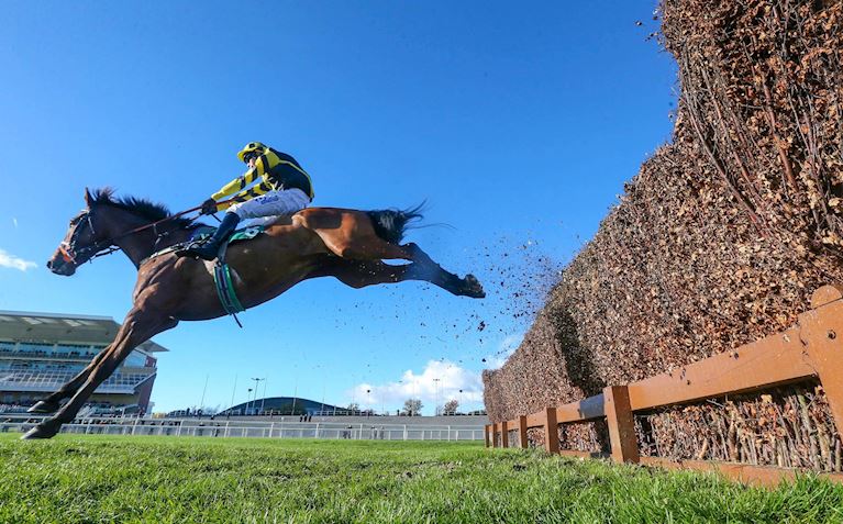 Exitas juping a fence at aintree racecourse before going on to win