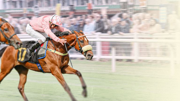 Carlisle Bell & Cumberland Plate Day