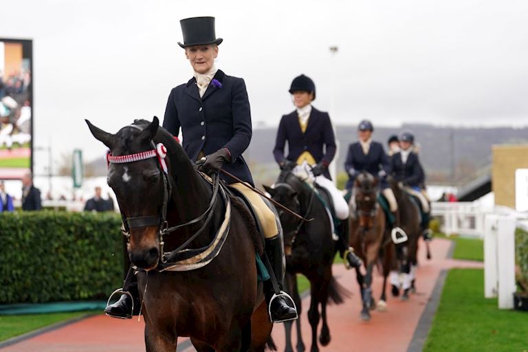 RoR website upload.jpg