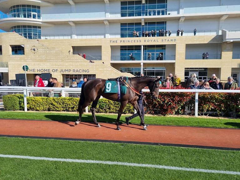 WIN A CHELTENHAM RACING CLUB MEMBERSHIP 