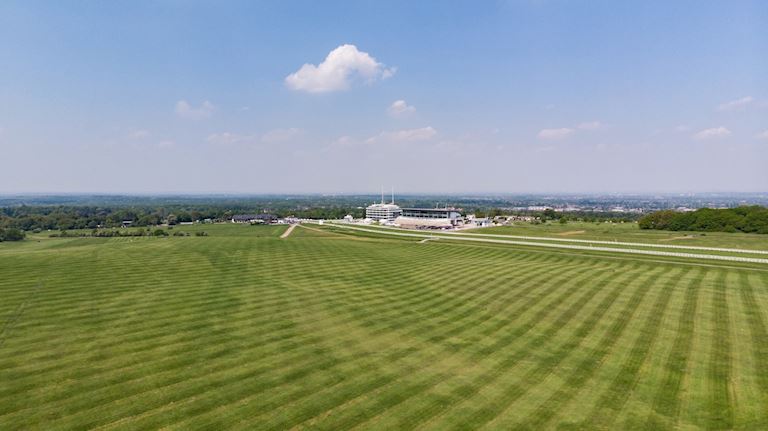 Dog Walking at Epsom Downs Racecourse