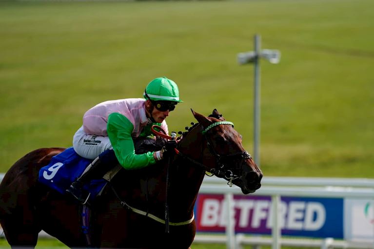 Glass times raceday_photogallery 4 (1).jpg
