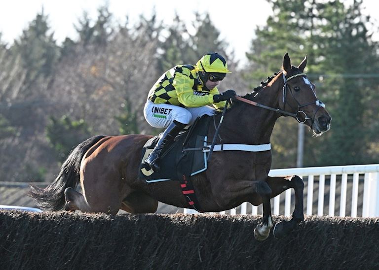 EXETER RACEDAY NEWS: LULAMBA MAKES PERFECT START OVER FENCES