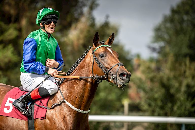 The Betfred Last Fling - 30 December