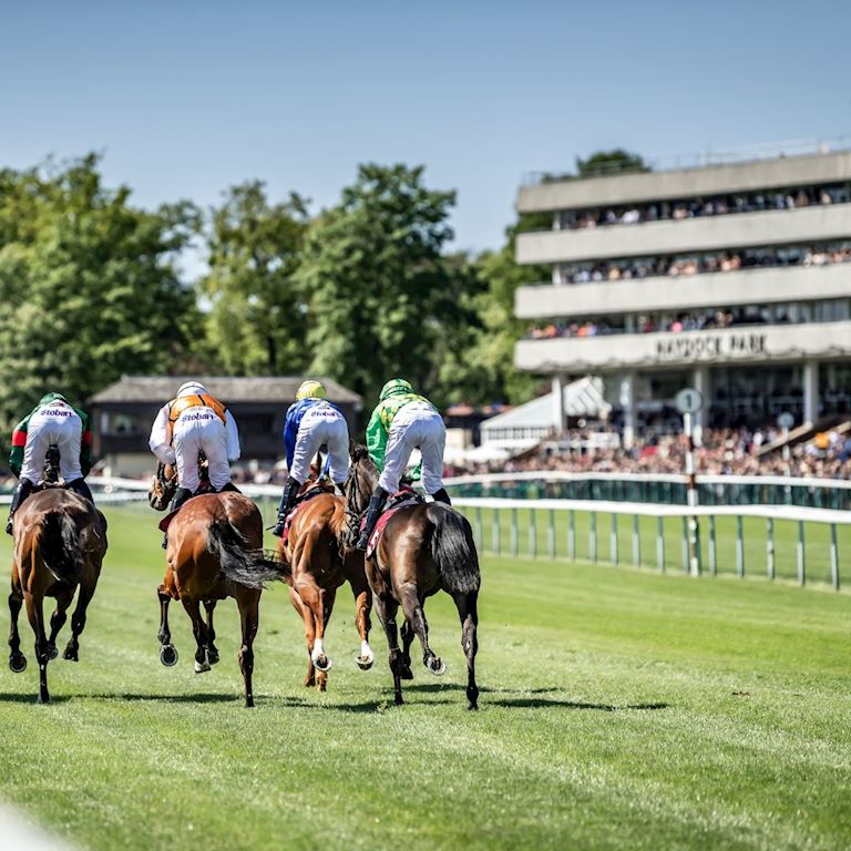 Afternoon Racing