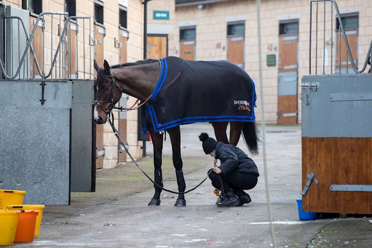 Cheltenham NYD 23-358.jpg