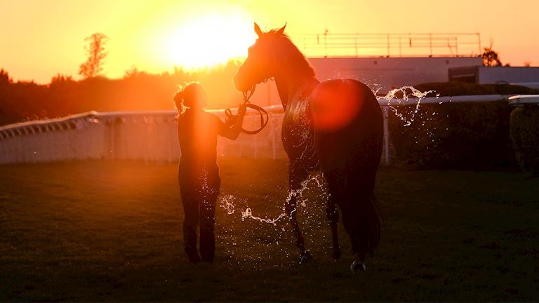 Evening Racing