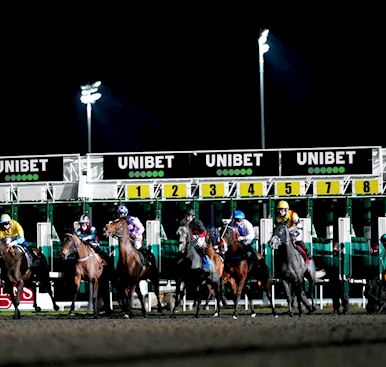 Floodlit Racing