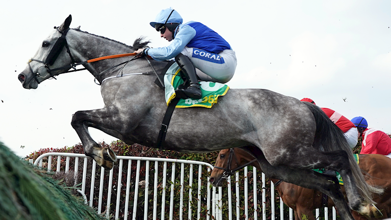 Resplendent Grey wins a Colin Parker thriller 