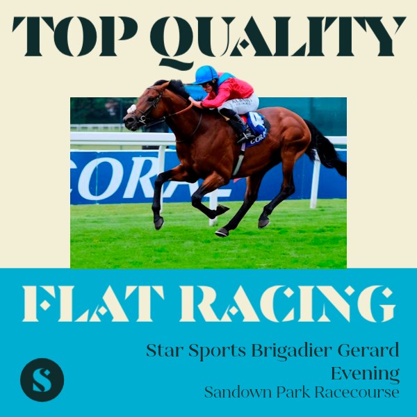 Top Quality Flat Racing.jpg