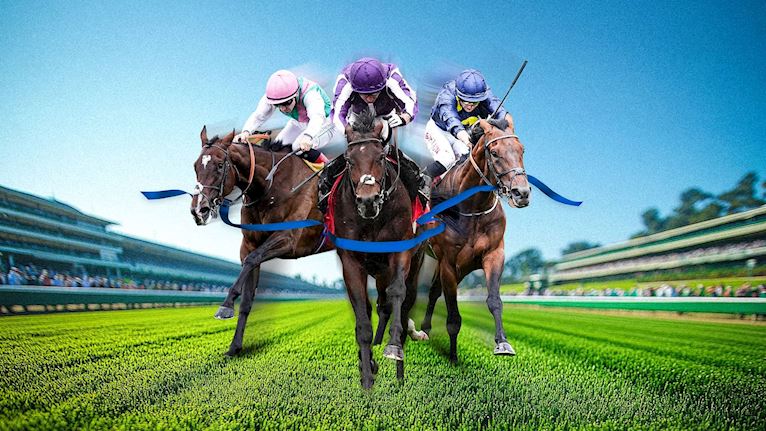 Coral-Eclipse Day