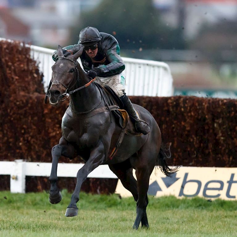 Altior (1).jpg