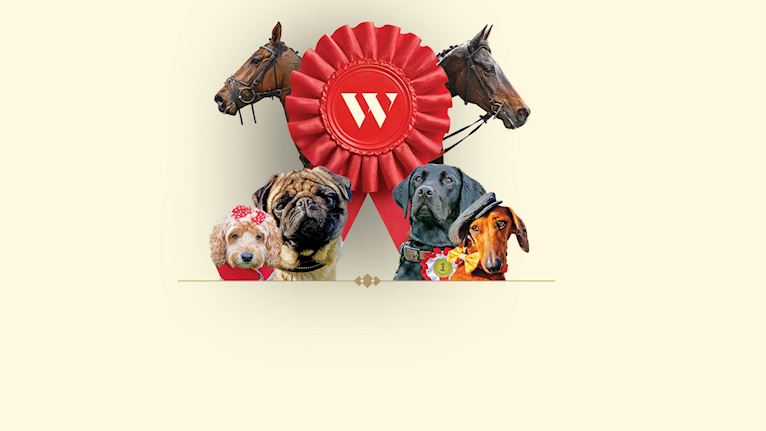 Oddschecker Four-legged Friend Race Day