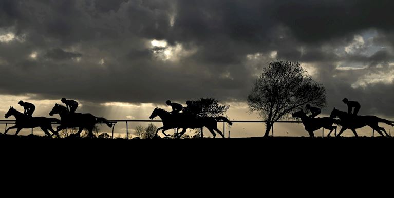 Cheese & Cider Raceday