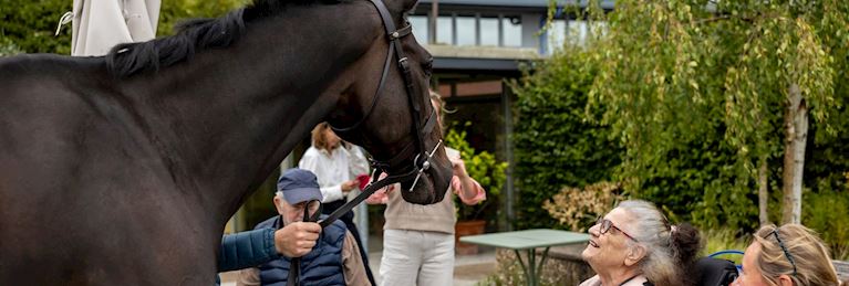 Wincanton Racecourse Announces Horatio's Garden as Charity Partner of the Season