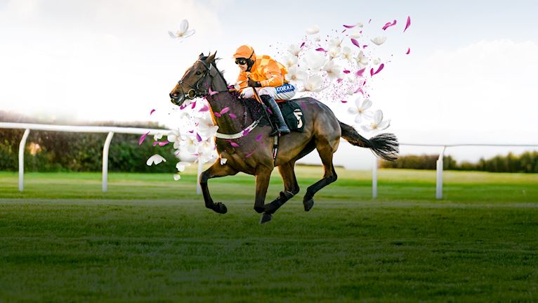 Racing for Children Charity Raceday