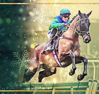 Fitzdares Boxing Day Racing