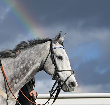 NEW PARTNERSHIP WITH LUDO SPORTS & LIVE LOUNGE