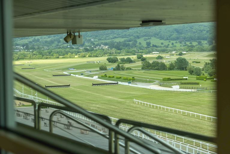 More than a Racecourse