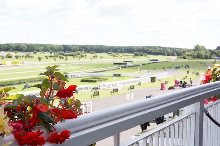 Market Rasen Venue Executive Box Offer